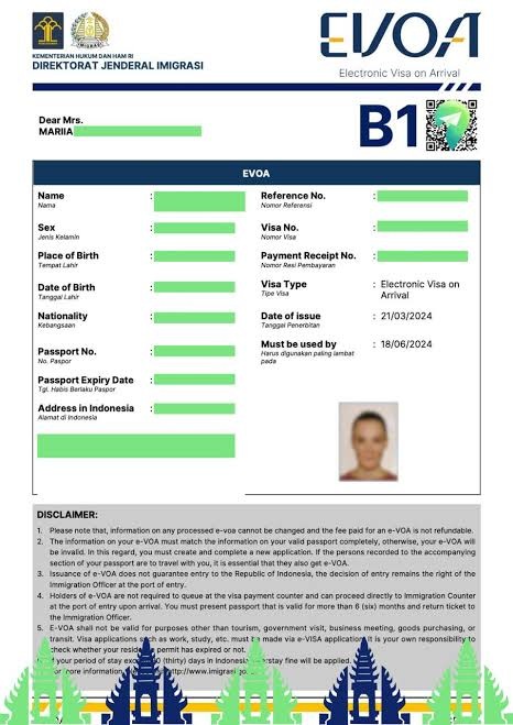 Electronic Visa on Arrival